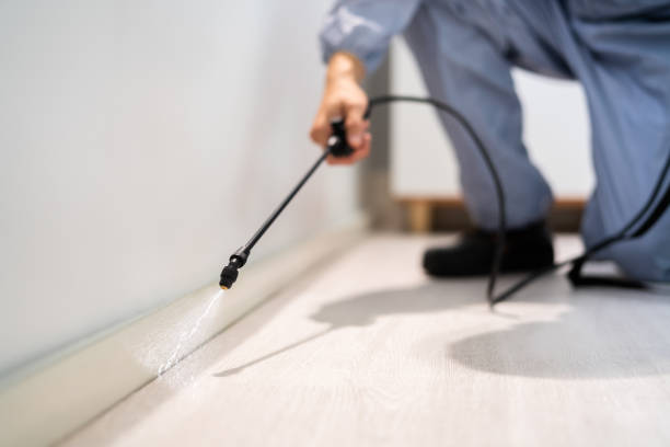Professional exterminator conducting IPM assessment in Rockport